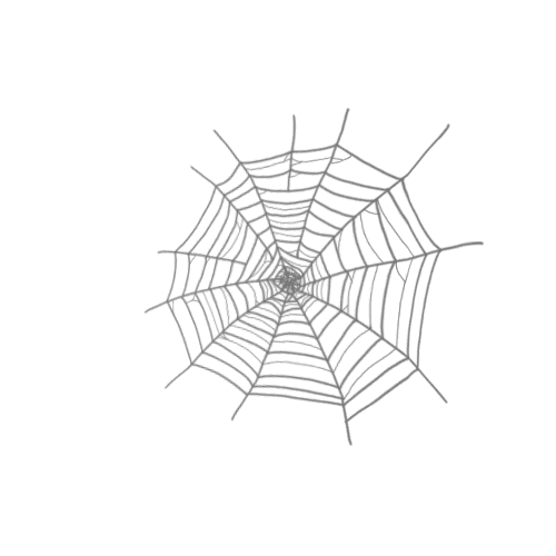 Cobweb 6